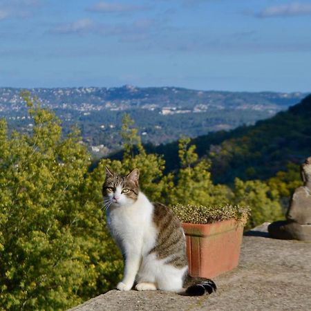Amoureux Du Calme Et De La Nature Tanneron Luaran gambar