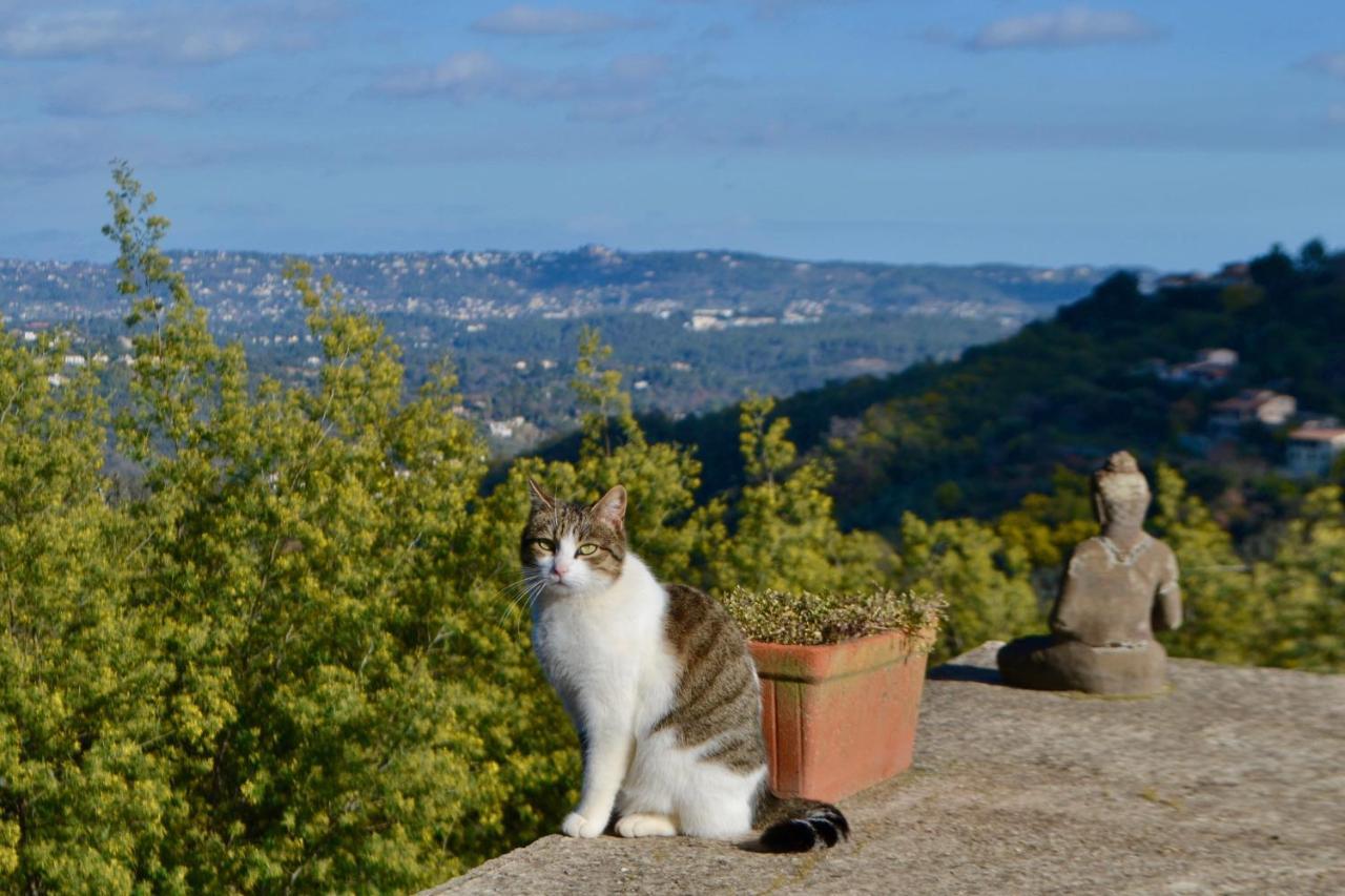 Amoureux Du Calme Et De La Nature Tanneron Luaran gambar